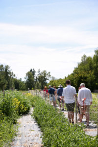 farming, organic, slow food, farm tour, the paisley notebook, sourced, organic, okanagan, british columbia, pop up dinner