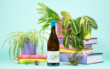 Rigour & Whimsy