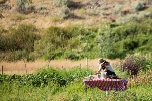 Aman Dosanj cooking on the farm